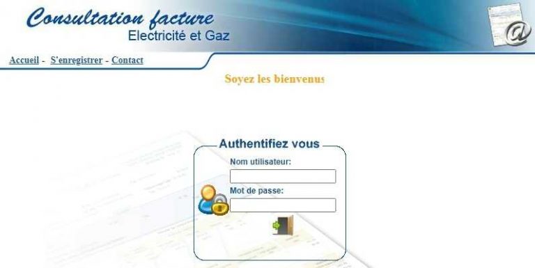 Comment Consulter Votre Facture Sonelgaz En Ligne Sur Le Site Elit Dz